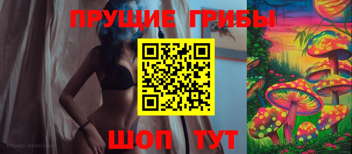 Псилоцибиновые грибы мицелий Коломна
